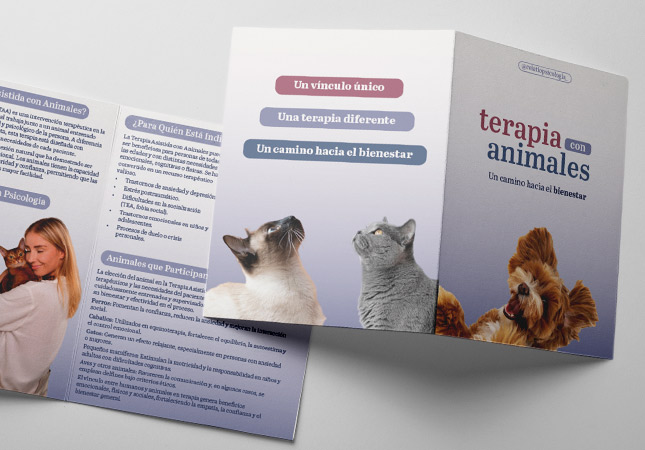 Folleto de publicidad díptico