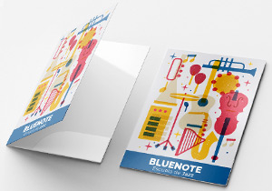Diseño de Carpeta Corporativas