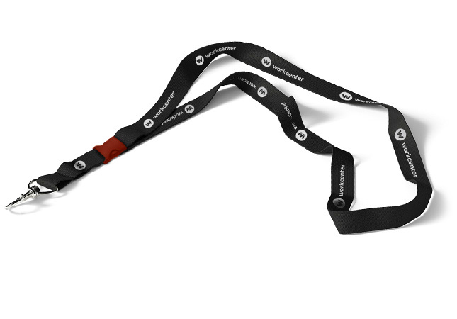 Lanyard with snap on carabiner