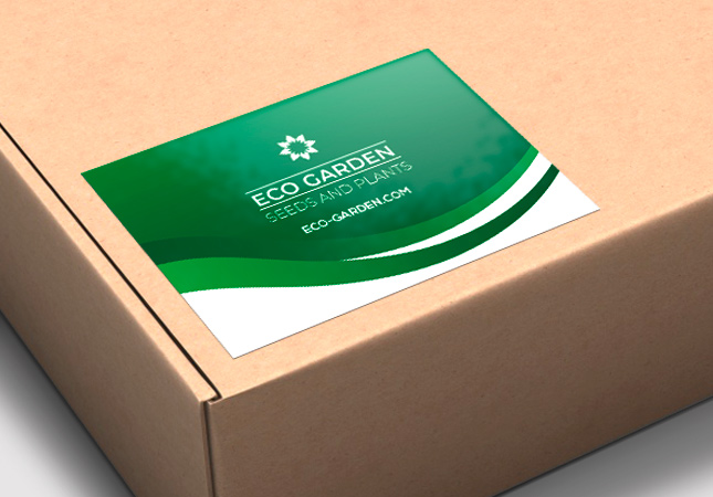 Office Adhesive Cards