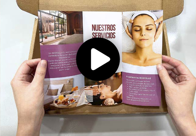 Trifold Brochures